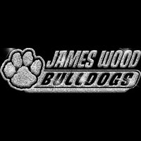 GLT102 SILVER GLITTER Thumbnail