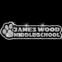 GLT99 SILVER GLITTER Thumbnail