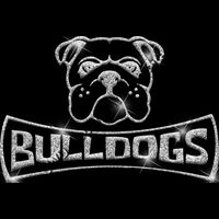 GLT94 SILVER GLITTER Thumbnail